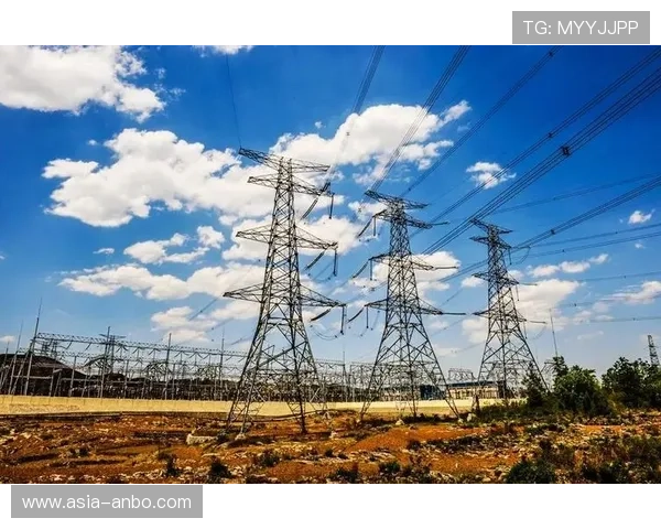 观赛经济链条延伸，创造多元价值