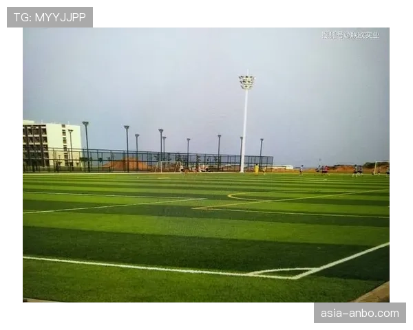 独家专访：温布利球场草坪主管，揭秘智能灌溉与光照系统如何保障全年草皮质量